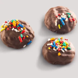 BISCOITO CHOCOFESTA COBERTURA CHOCOLATE 2K RIZZATO